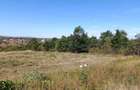 Teren extravilan (front intravilan) 3016 mp | Sebi?, jud. Arad