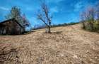 Teren de vanzare in suprafa?a de 5.5 ha