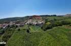 Casa tradi?ionala cu teren de 1169 mp in ?apu, jude?ul Sibiu - 4