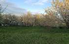 Vand teren in Adancata, jud. Suceava - 2