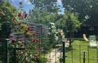 Proprietar vand casa in Fratelia - 2