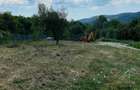 Teren de vanzare Sat Vladuceni Comuna Pausesti Maglasi 5000mp - 3