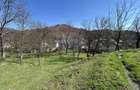 Teren 1,106mp Baia Mare / Strada Firiza - 8