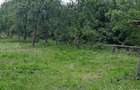 Casă cu Teren 3850 Mp în Roșia - 5