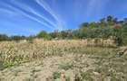 Teren intravilan in Manolesti Deal - 3