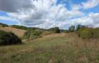 Vand URGENT Teren 11.200 mp Recea-Cristur, front 220 m la asfalt, apa pe teren