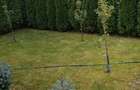Vila Neva 4 camere Green City-1 Decembrie - 1