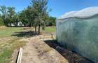 Casa de vanzare comuna Jamu Mare jud.Timis - 3