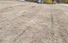 Tere de vanzare in sat Damis com Bratca - 3
