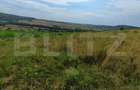 Teren extravilan, de vanzare, 6500 mp, zona Crasnei - 3