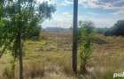 teren intravilan Gorgota 5700 m deschidere la DN1 30m - 6