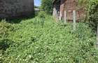 Proprietate 166 mp cu teren de 2.000 mp si toate utilitatile Santuhalm - 4
