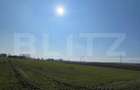 Teren extravilan, 7.300 mp, front 51 ml - Falticeni - 2