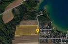 Parcele de vanzare- Lacul Surduc - La doar 100 m de lac - 3