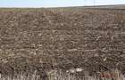 Teren extravilna Cota parte 1/16, CObadin, ID: R2782865 - 3