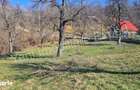 Teren de vanzare in comuna Valea Iasului, sat Cerbureni, jude? Arge?. - 6
