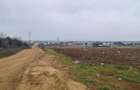Teren intravilan de 515 mp, în Cihei - 2