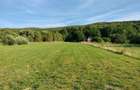 Teren intravilan - Lisnau - 3