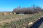 Teren 5000 mp, iesire din Tecuci, dupa Peco Galbenus - 2