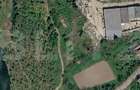 Casă P+1+M, 300 mp, teren 10000 mp, comuna Mihaesti - 1