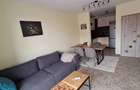 Apartament cu 2 camere de inchiriat in Metalurgiei