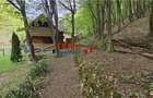 Casă de vacanță la pădure | Teren 891 mp | Valea Ighielului - 15
