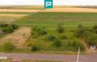 Teren intravilan de 596mp in Cicir, Vladimirescu