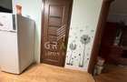 Apartament 1 camera, etaj 1, zona Auchan-Iris - 4
