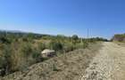 Vand Teren 1.000 m2 Podgoria str. Facliei - 1