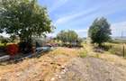 Casa si 4 Hale de Vanzare cu 24 Ari I Suceava/Burdujeni I 415.000Euro - 7