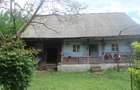 Casa cu gradina in Valea Arinilor - 2