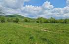 Teren 1500 mp pe str Paltinului, Valea Ghinzii , extravilan Bistrita
