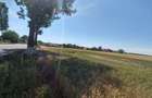 Vanzare teren Buftea | Strada Milano | Intravilan - 6