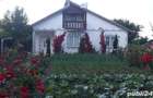 ILFOV Casa la schimb in Bucuresti - 3