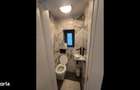 Apartament mansarda renovat in vila Aviatorilor - 9