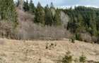 Teren de vanzare Bucovina - 2