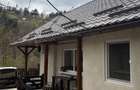 Vand casa Baia Mare Ferneziu - 6