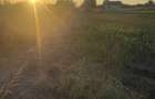 Teren intravilan 4.003 mp Frecatei, Tulcea - drum pe 3 laturi, curent - 1