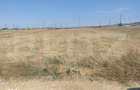 Teren intravilan, Simnicu de Sus, 5300 mp, deschidere 16,4 m - 4