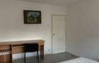 Apartament cu o camera de inchiriat Nufarul - 5