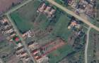 Casa de vanzare cu 2 parcele Jamu Mare (70 km de Timi?oara) - 1