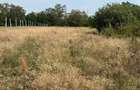 Teren intravilan Miersig, vedere la lac. 12,5 E/mp neg. Comision 0 - Miersig (Bihor) - 1