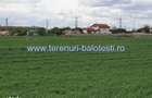 Teren langa padure si aproape utilitati,800 mp,36000 euro - 5