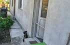 Casă cu 2 camere în Jilava - 1