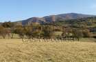 O oportunitate care îți atinge sufletul: Teren de vis la ieșirea din Rășinari