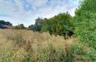 Teren intravilan 6000 m2 in zona industriala DN1A Sacele - 3