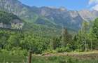 Nou! Investi?ie Sinaia-Cumpatu: Teren 1.724 mp cu Proiect - 3