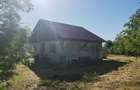 Casa de vanzare pe malul Prutului Moreni, Iasi | Teren 960 mp | Zona linistita - 8