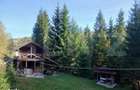 2 Cabane lemn Vadu Negrilesei, 96MP, 1100 MP teren, 45k