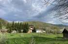 Teren plat cu deschidere la lacul Paltinu, acces facil, utilitati - 6